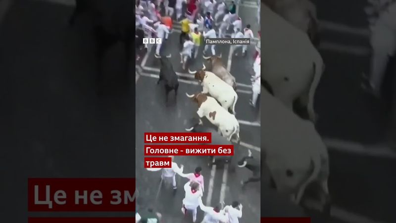 Сотні людей взяли участь у перегонах биків в Іспанії. Як це було? #іспанія #shorts