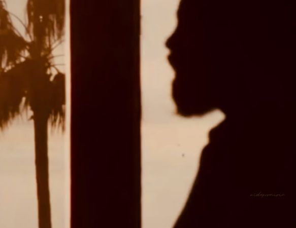 she lives on love street 🌞 | #jimmorrison #thedoors #60s #70s #pamela...