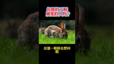 你真的了解属兔的人吗？#生肖 #運勢  #玄學 #風水 #命理