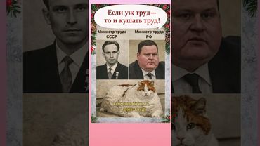 Смех#юмор#приколы