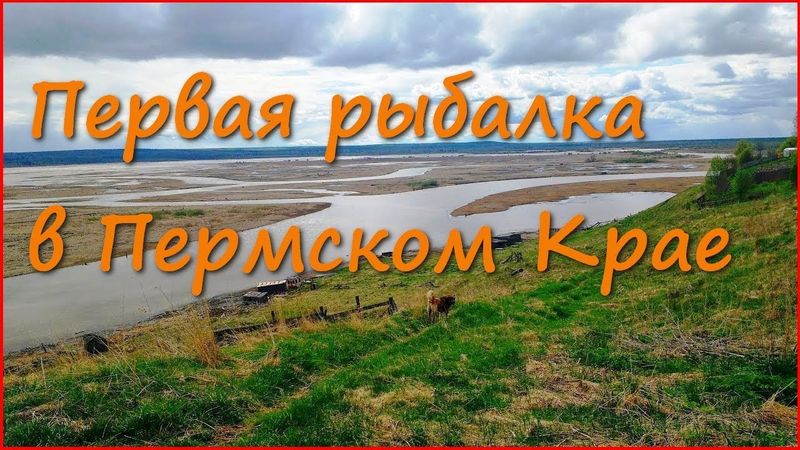 Спиннинг вместо донки, кусок хлеба для плотвы и первый улов в Пермском Крае.