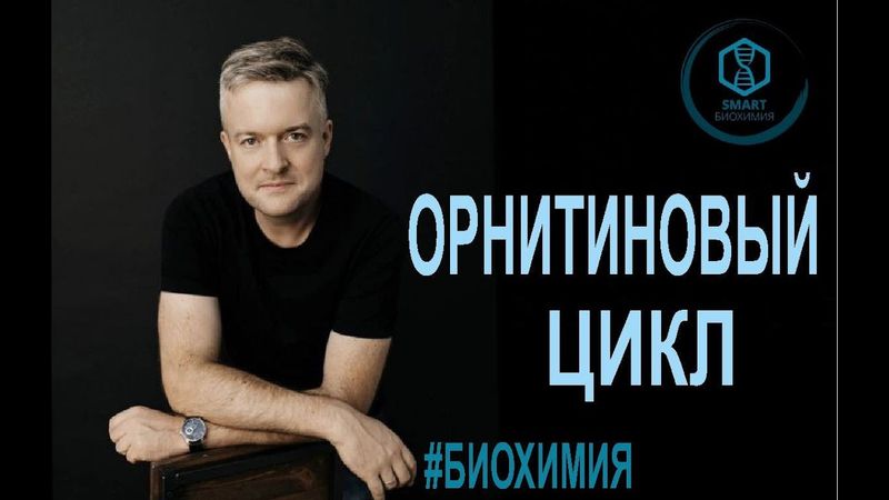 Биохимия: Орнитиновый цикл