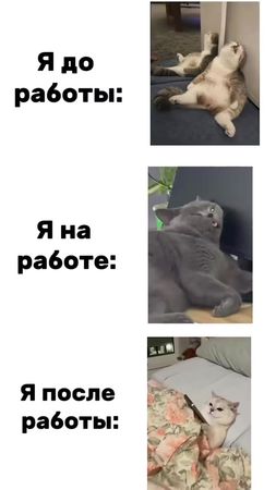#жизаиточка #хорошегонастроения #😂😂😂 #отправь #отмечай 