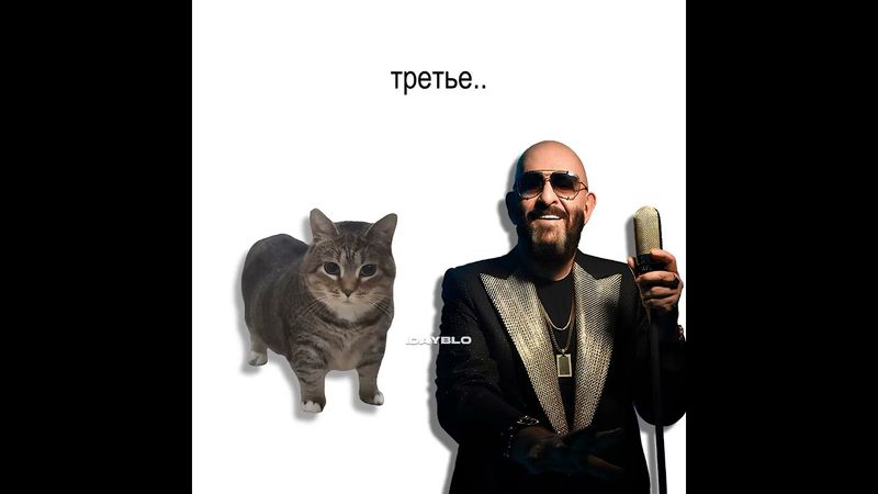 «3-е сентября, но это Oiia Cat»  #mashup #cat #remix #oiiaiiooiiai