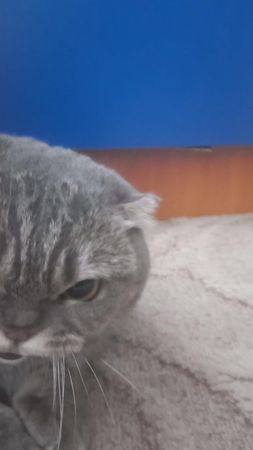 TikTok video #7065329223468076290