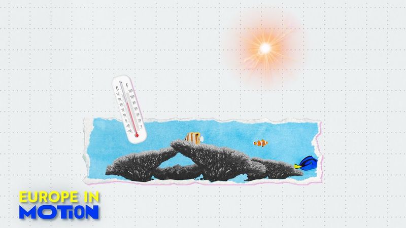 European seas heating up: How warm is too warm?