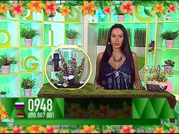 Ксения Ибрагимова - "Счастливый час" (10.07.16)