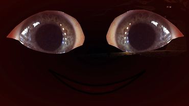 ТРИ КОРОТКИХ ХОРРОРА