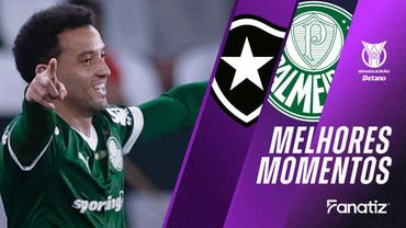 Botafogo 0 x 1 Palmeiras I Melhores momentos I Brasileirão 2025