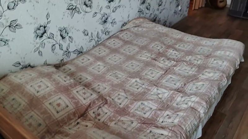 Поездка в родной город на один день