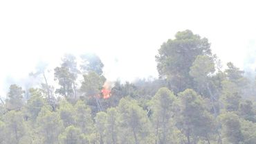 Wildfire in southern France: Firefighters battle to contain blaze as it enters third day | AFP