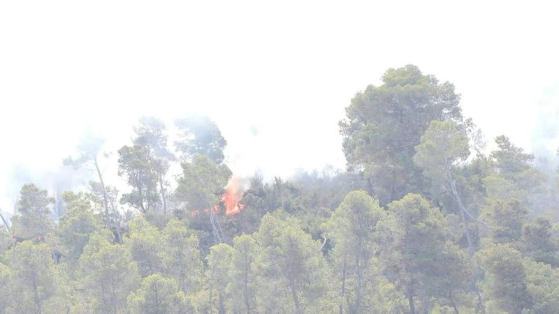Wildfire in southern France: Firefighters battle to contain blaze as it enters third day | AFP