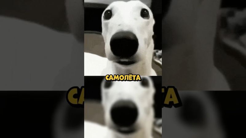 ДУШНИЛА № 123