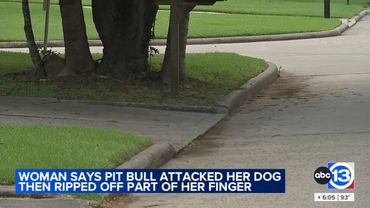 Witness recalls moments of SW Houston dog attack that left 1 woman injured: