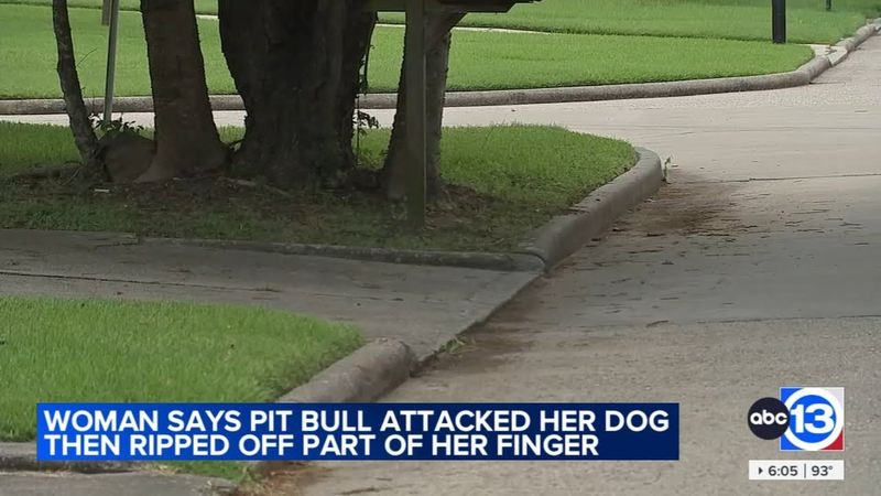 Witness recalls moments of SW Houston dog attack that left 1 woman injured: