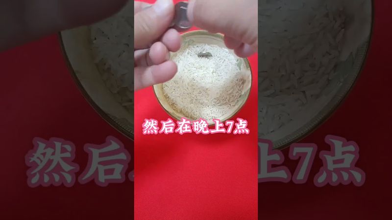 《祝由生財術》大米生財！內財不外露！外財通通來！財神到！財源滾滾來#民俗文化 #民間傳說 #國學文化 #祝由術 #道家文化 #生財有道 #發財 #進財 #轉運 #運勢 #財富 #補財庫旺財氣
