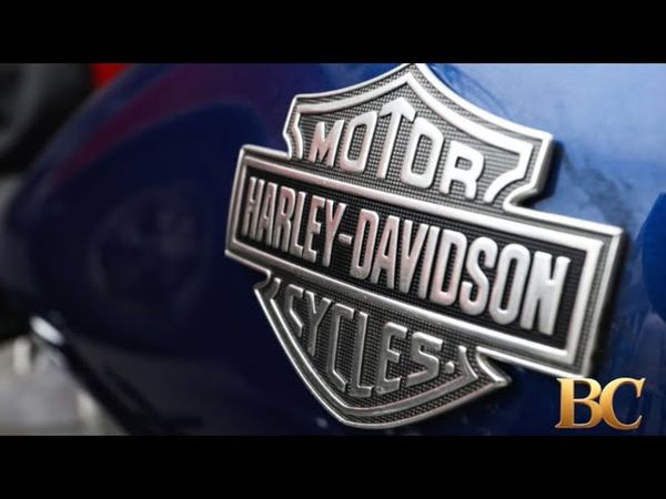 Harley-Davidson Names Topgolf Leader as New CEO