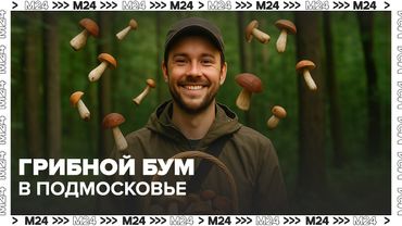 🍄 Грибной бум в Подмосковье: где и когда искать подберёзовики и белые