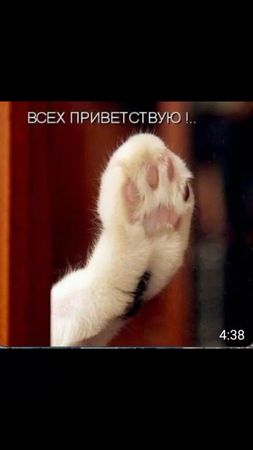 TikTok video #7060287944472415489