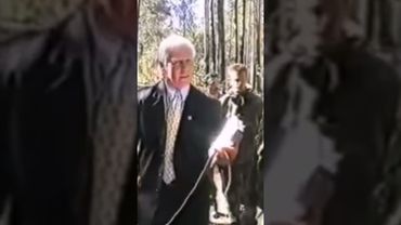 Система Кадочникова. "Секрет удара" от Алексея Алексеевича Кадочникова. #military #army #martialarts