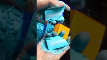 Multicolored Individual Dyed Freshies