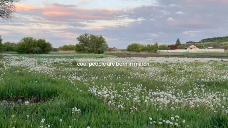 cool people are born in march.#march #birthday #month #spring #flypシ 