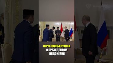 В Санкт-Петербурге начались переговоры Путина с президентом Индонезии