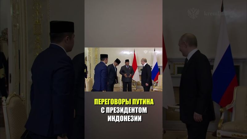 В Санкт-Петербурге начались переговоры Путина с президентом Индонезии