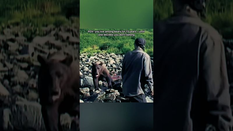 Timothy Treadwell - Living Among Bears