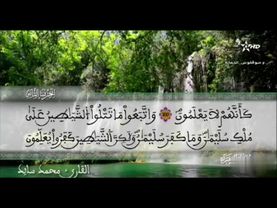 القارئ محمد سايد الحزب 2 من المصحف المرتل التعليمي رواية ورش عن نافع من طريق الأزرق