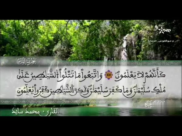 القارئ محمد سايد الحزب 2 من المصحف المرتل التعليمي رواية ورش عن نافع من طريق الأزرق