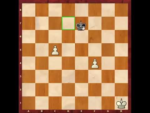 29. آموزش آخربازی شطرنج ( ترم چهارم - قسمت 4)