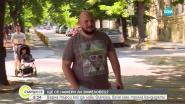 За поредна година: Варна търси ловец на змии