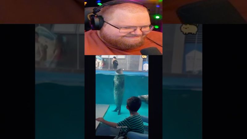 МИЛИ 😊 #t2x2 #реакция #юмор #история #мем