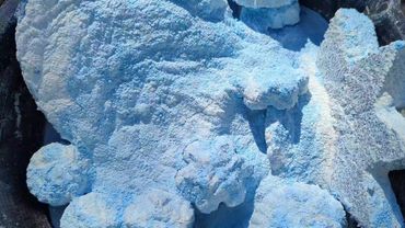 Icy Blue 🥶 Super Soft & Powdery Reforms