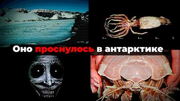 УЖАСНАЯ АНТАРКТИДА