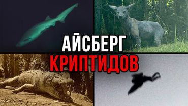 Айсберг КРИПТИДОВ (Йети, Бигфут, Лох-Несс)