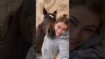 Sleep horse 🐎 #funny#fyp#foryou#anmals #funnyshorts