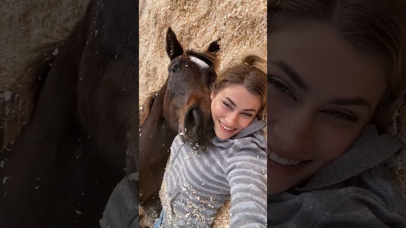 Sleep horse 🐎 #funny#fyp#foryou#anmals #funnyshorts