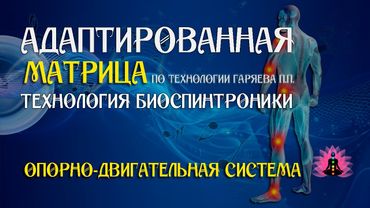 Опорно двигательная система 🎶 программа матрица по технологии Гаряева П.П ☀️ SoftRadio.ru