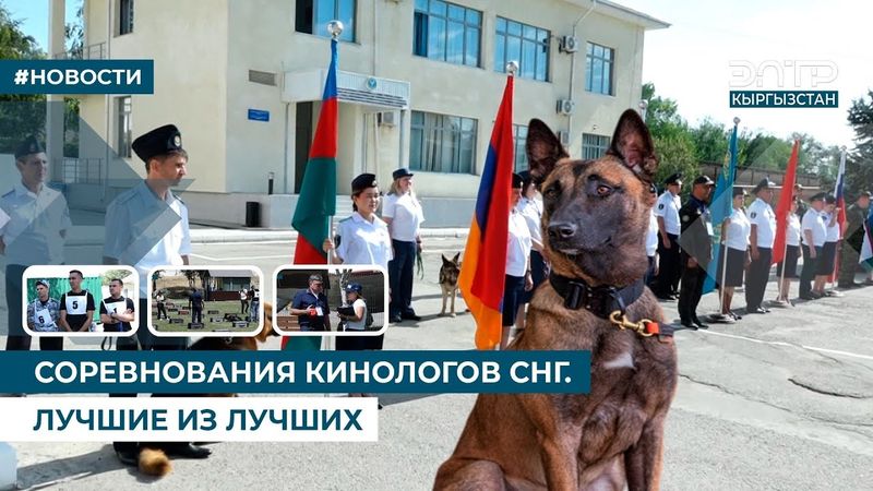 СОРЕВНОВАНИЯ КИНОЛОГОВ СНГ. ЛУЧШИЕ ИЗ ЛУЧШИХ