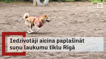Aicina palielināt suņu pastaigu laukumu skaitu