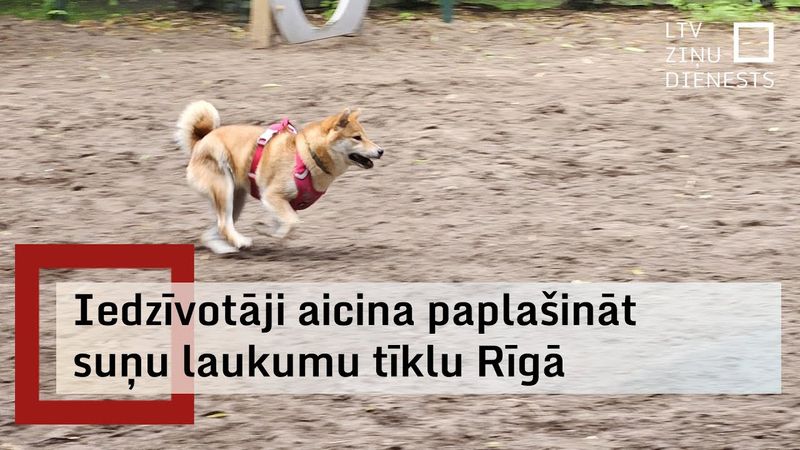 Aicina palielināt suņu pastaigu laukumu skaitu