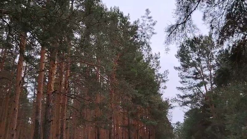 Почему сложно решиться уволиться даже с плохой работы?