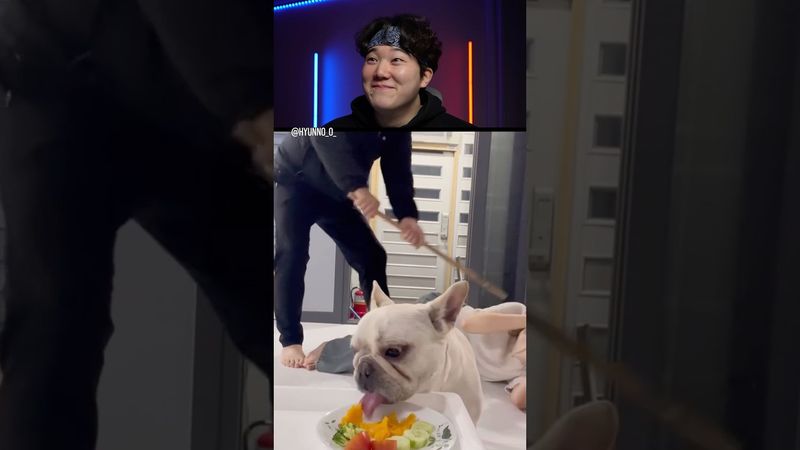 Try Not to Laugh Challenge 1499 🤣 #funny ⁠#shorts #viral