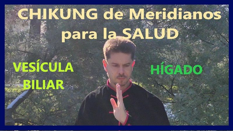 QI GONG ☯CHI KUNG de Estiramiento de MERIDIANOS, Jing Luo Qi Gong VI.