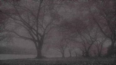 Давай, давай, стреляй, стреляй.. #music #капсайз #fepシ #кишлак #FACE 