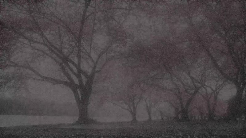 Давай, давай, стреляй, стреляй.. #music #капсайз #fepシ #кишлак #FACE 