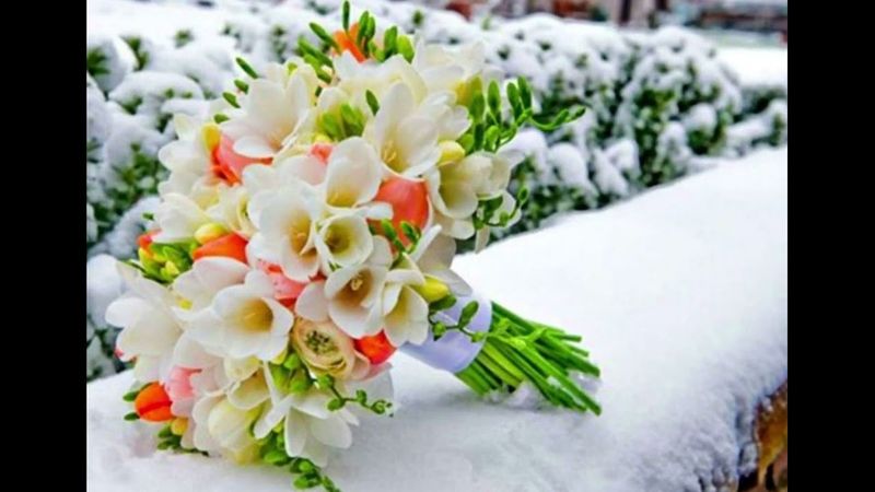 Milen "Упали в снег мои  цветы" / Новогодняя ПРЕМЬЕРА - 2025 !!! /