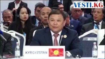 «Франкфурт жана Маяне» и «гомосексалют». Провальные выступления депутатов Жогорку Кенеша